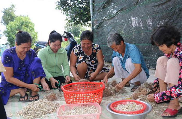 dongthap1.jpg